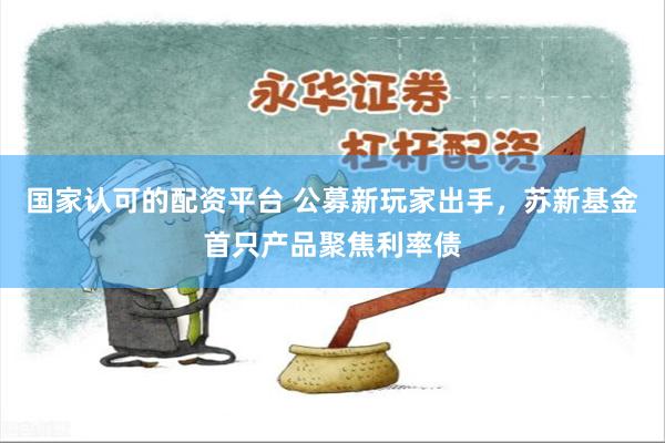 国家认可的配资平台 公募新玩家出手，苏新基金首只产品聚焦利率债